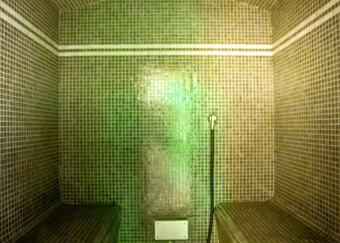 Hotel Aazaert By Wp 4*